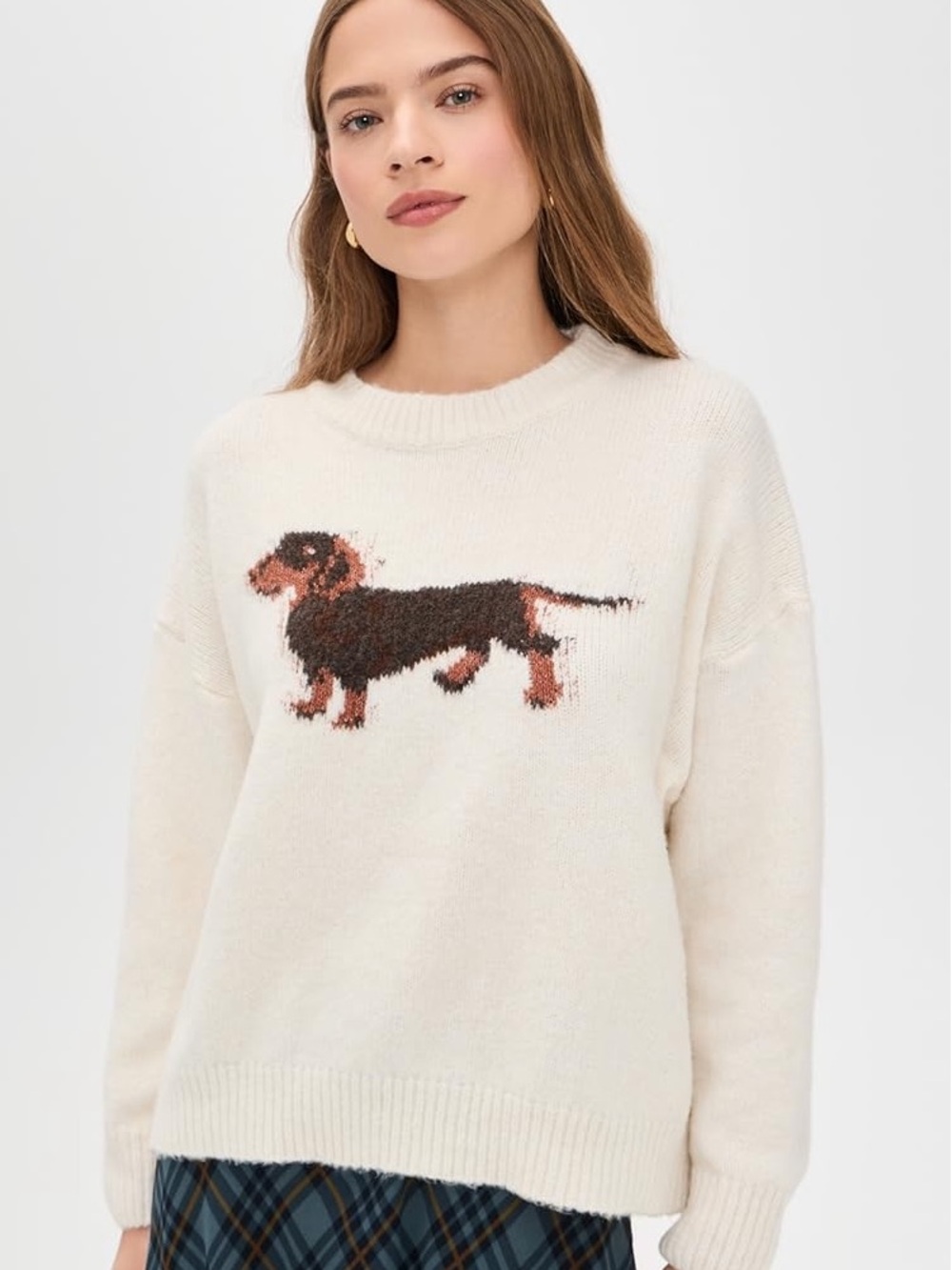 Bailey Rose Dog Sweater size Medium Cream Dachshund